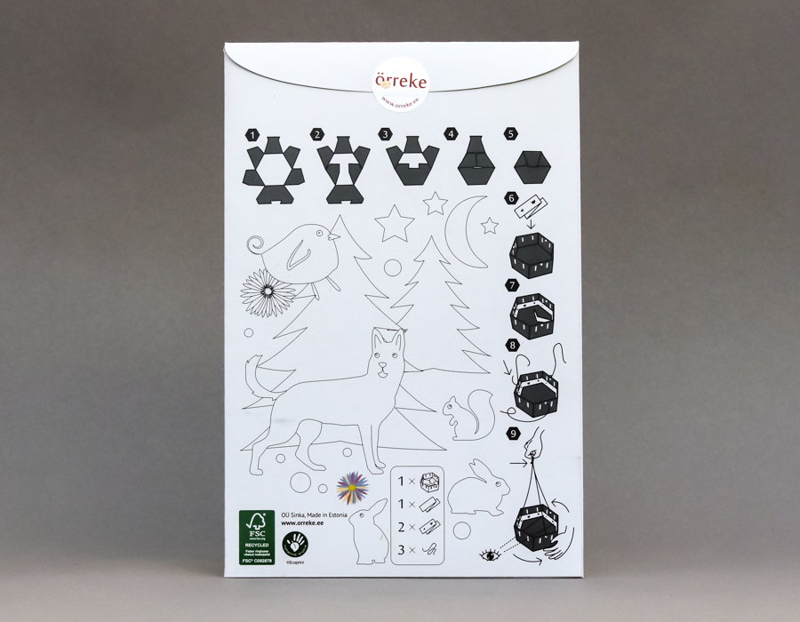 Filmike (loodus) tagakülg